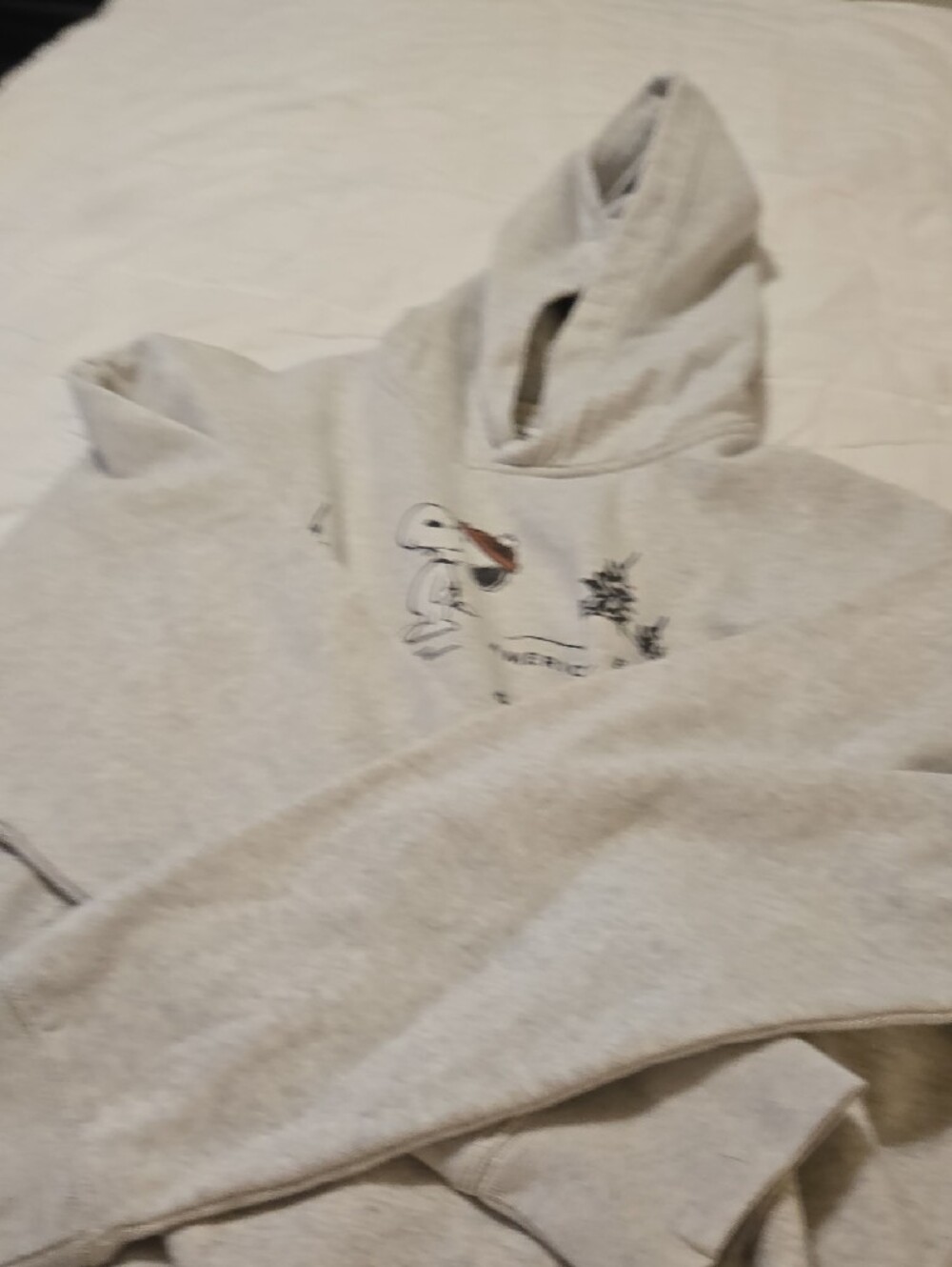 Gray Snoopy Graphic Hoodie Sweatshirt - Picture 5 of 5